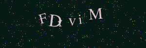 Validation image