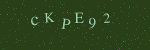 Validation image